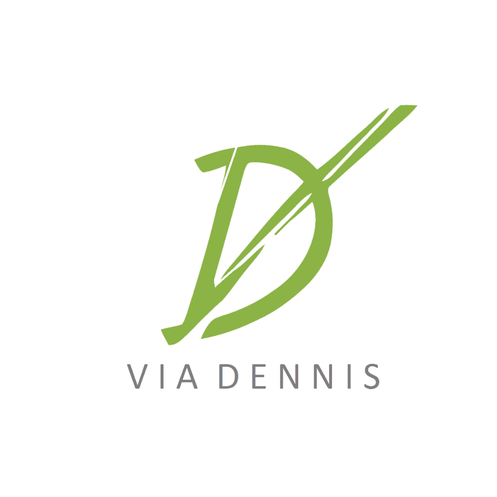 ViaDennis.nl logo